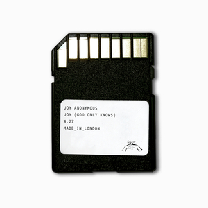 开发妈妈菊蕾后花庭
