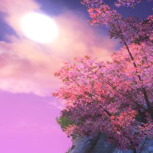 开发妈妈菊蕾后花庭
