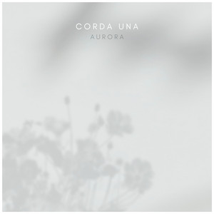 开发妈妈菊蕾后花庭
