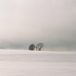 开发妈妈菊蕾后花庭
